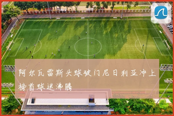 阿尔瓦雷斯头球破门尼日利亚冲上榜首球迷沸腾