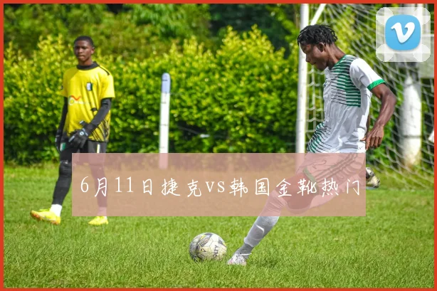 6月11日捷克vs韩国金靴热门