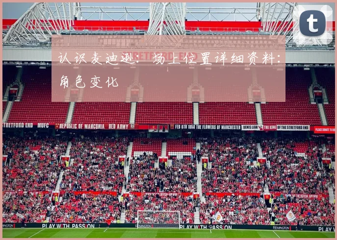 认识麦迪逊：场上位置详细资料：角色变化