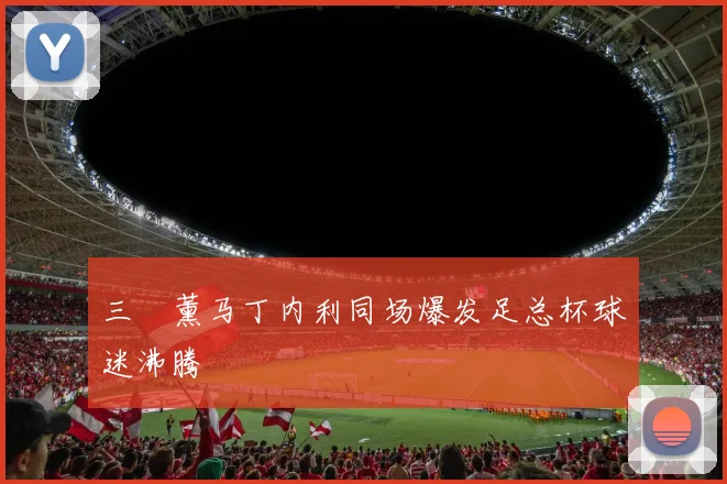 三笘薰马丁内利同场爆发足总杯球迷沸腾