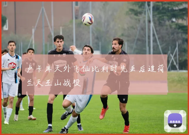 卢卡库天外飞仙比利时先丢后追荷兰天王山战役