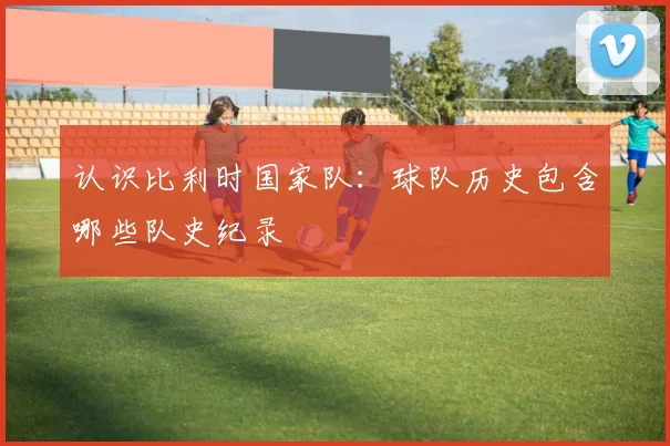 认识比利时国家队：球队历史包含哪些队史纪录